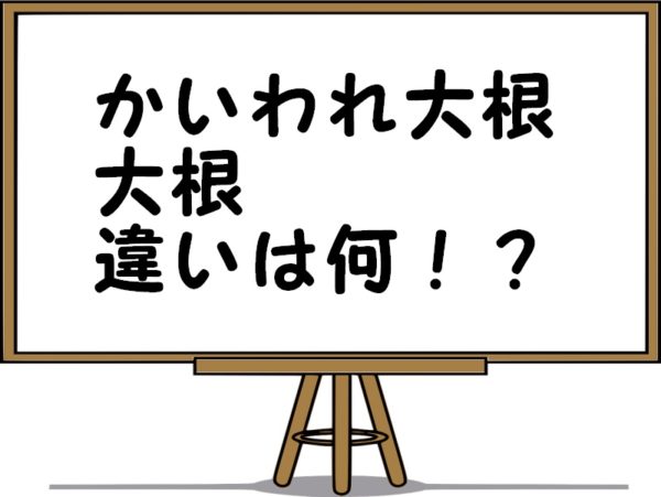 かいわれ大根と大根の違いを解説 育てると大根になるの コトバの意味紹介サイト